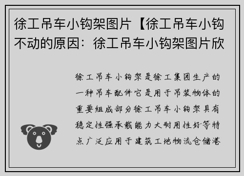徐工吊车小钩架图片【徐工吊车小钩不动的原因：徐工吊车小钩架图片欣赏】